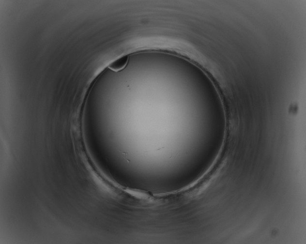 X0000102011521200807181216