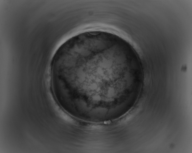 X0000102011522200807181216