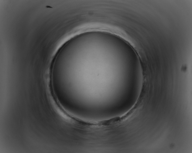 X0000102011523200807181216
