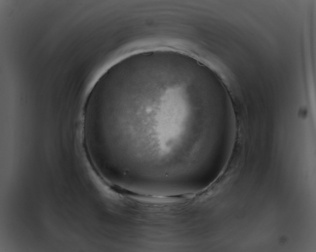 X0000102011524200807181216