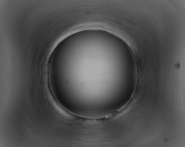 X0000102011526200807181216