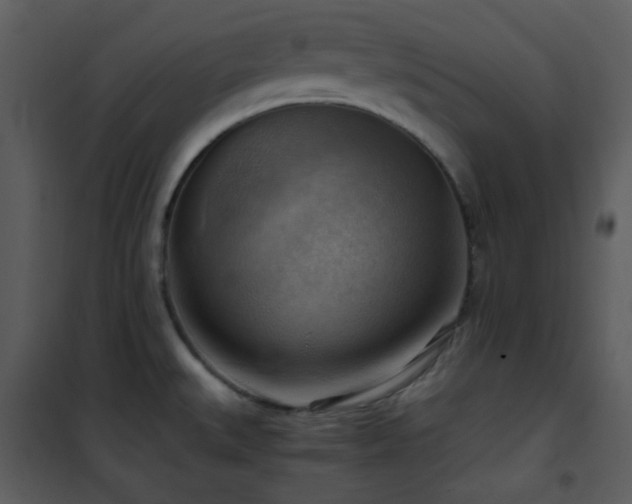 X0000102011527200807181216