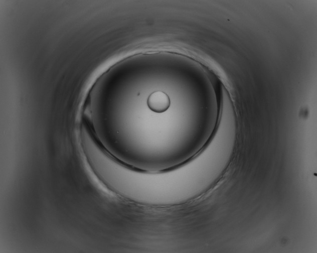 X0000102011528200807181216