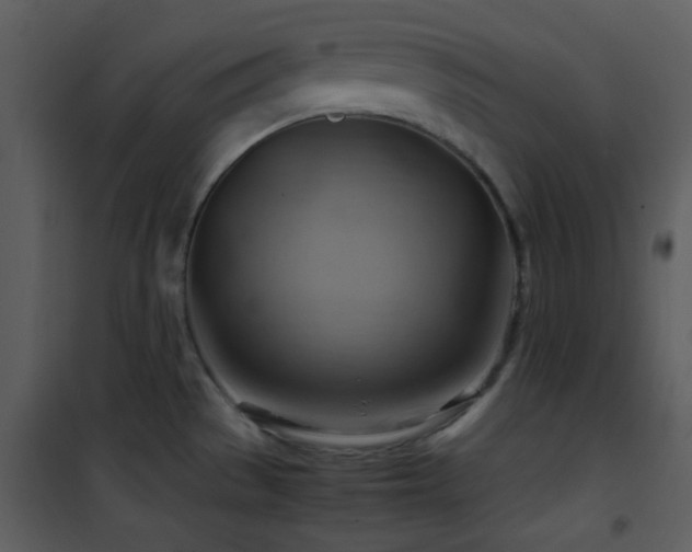 X0000102011529200807181216