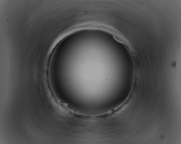 X0000102011530200807181216