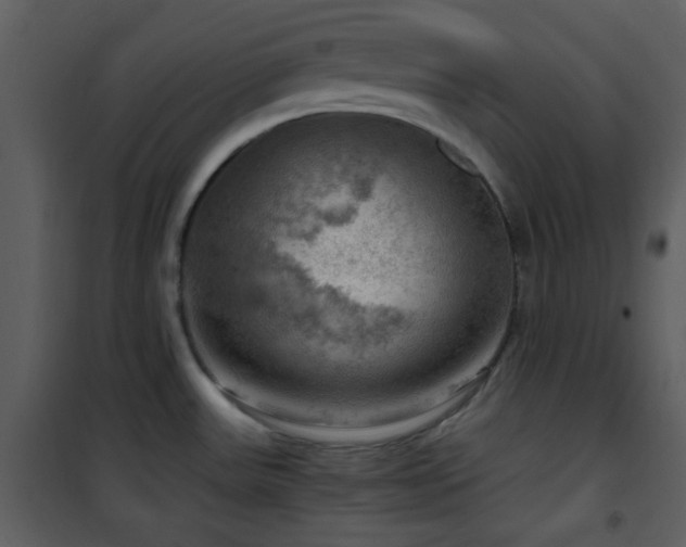 X0000102011531200807181216