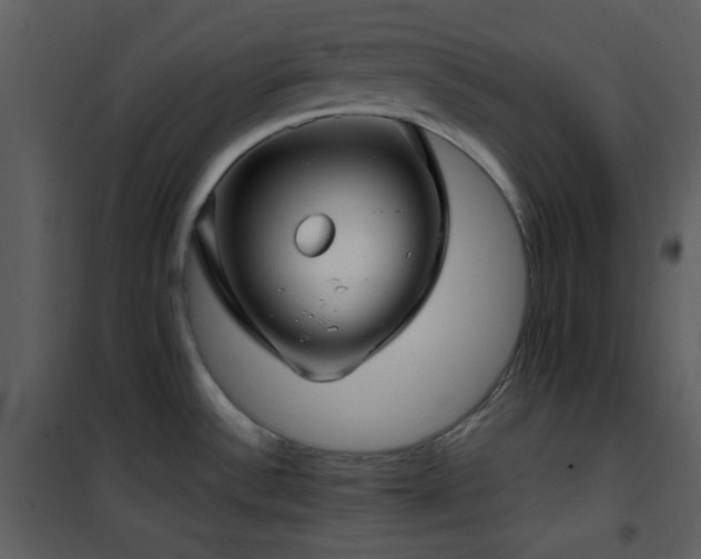 X0000102011532200807181216