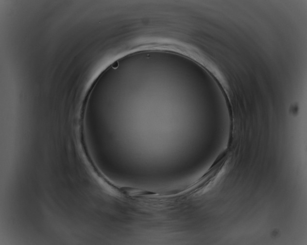 X0000102011533200807181216