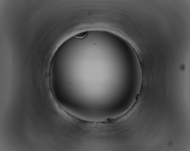 X0000102011534200807181216