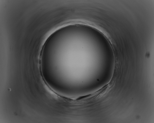 X0000102011535200807181216