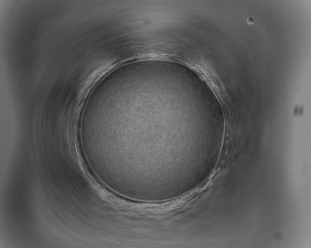 X0000102010001200807251319