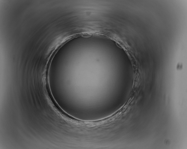 X0000102010002200807251319