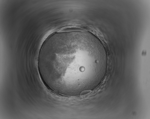 X0000102010003200807251319