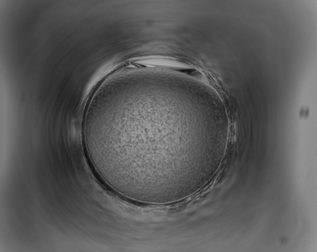 X0000102010004200807251319