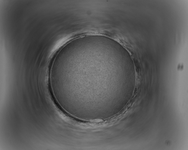 X0000102010005200807251319