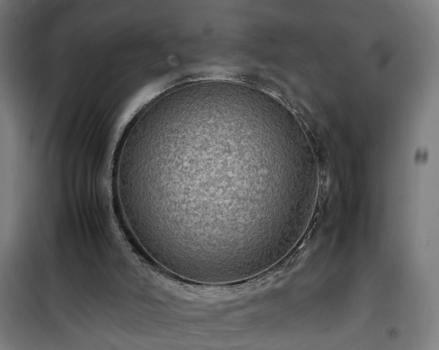 X0000102010006200807251319