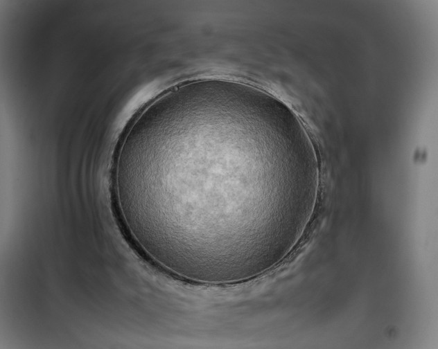 X0000102010007200807251319