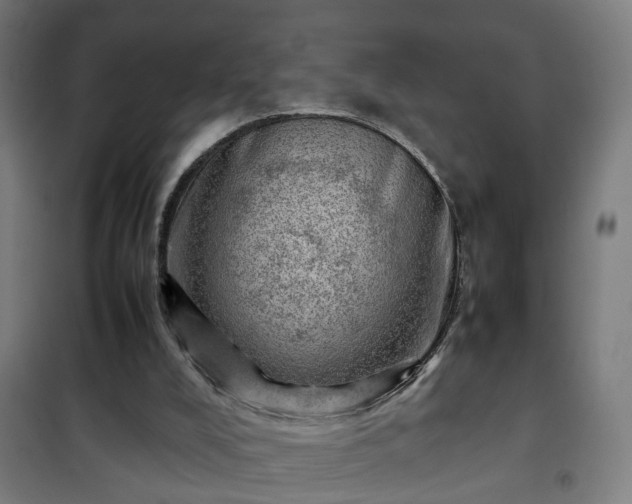 X0000102010008200807251319