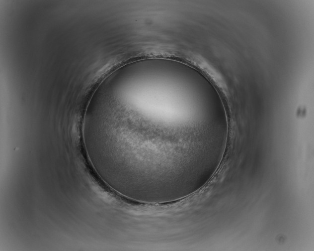 X0000102010009200807251319