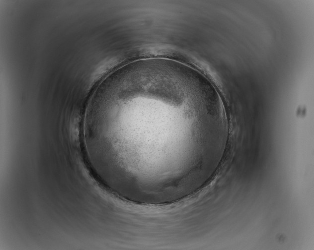 X0000102010010200807251319