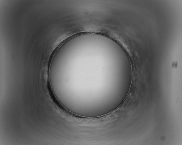 X0000102010011200807251319