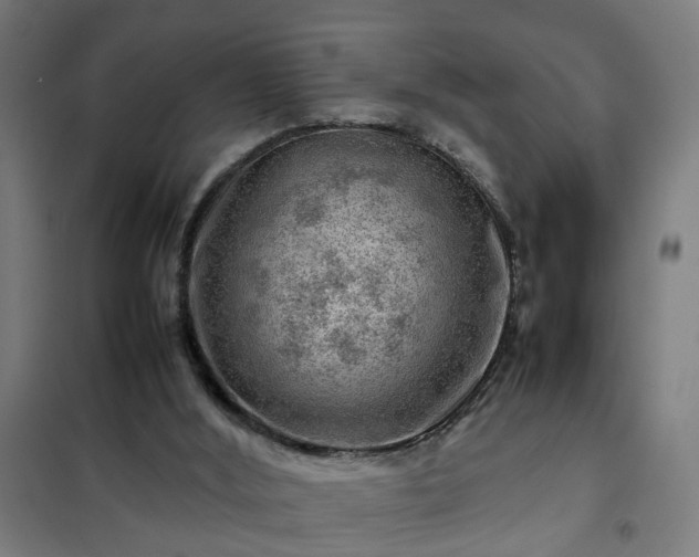 X0000102010012200807251319