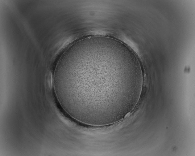X0000102010013200807251319