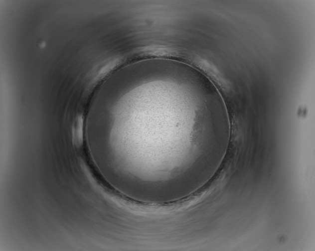 X0000102010014200807251319