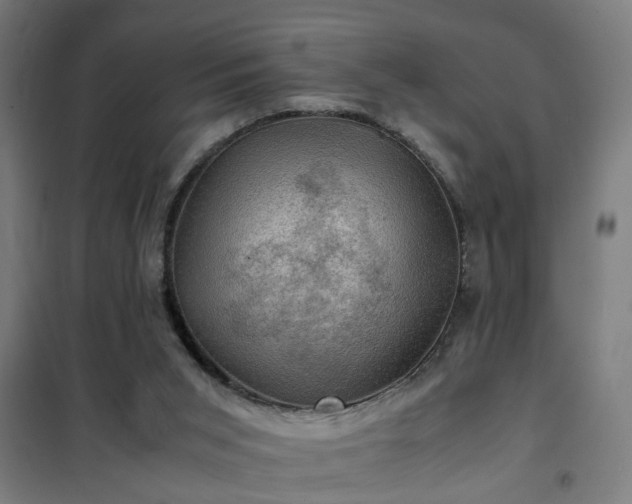 X0000102010015200807251319