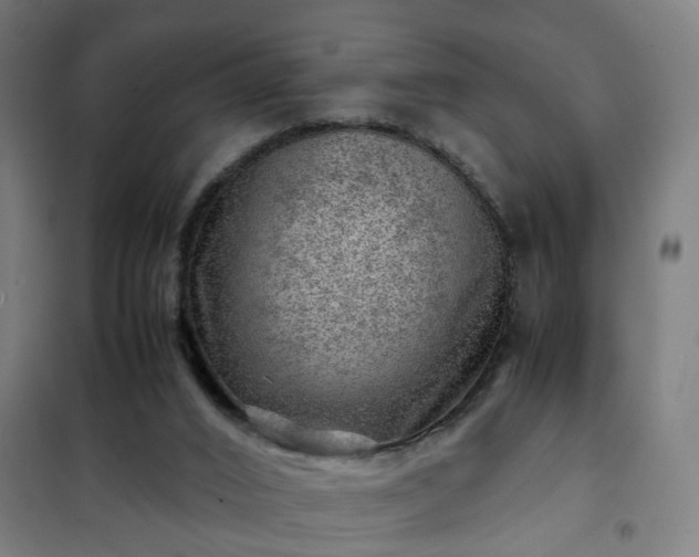 X0000102010016200807251319