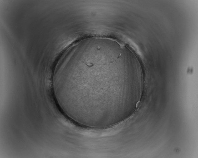 X0000102010017200807251319