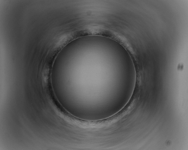 X0000102010018200807251319