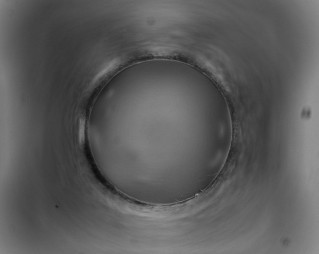 X0000102010019200807251319