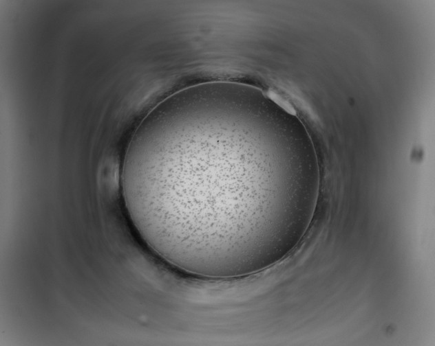 X0000102010021200807251319