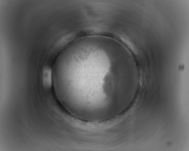 X0000102010022200807251319