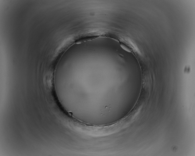 X0000102010023200807251319