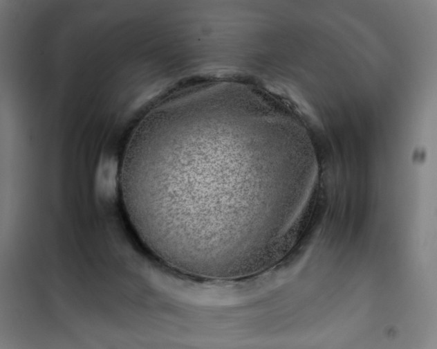 X0000102010024200807251319
