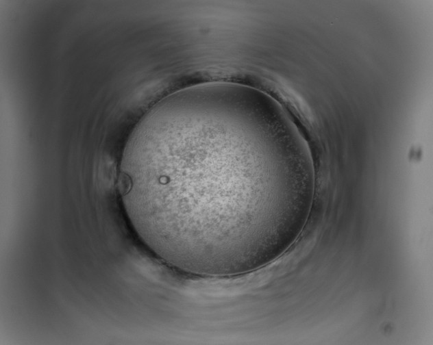 X0000102010025200807251319