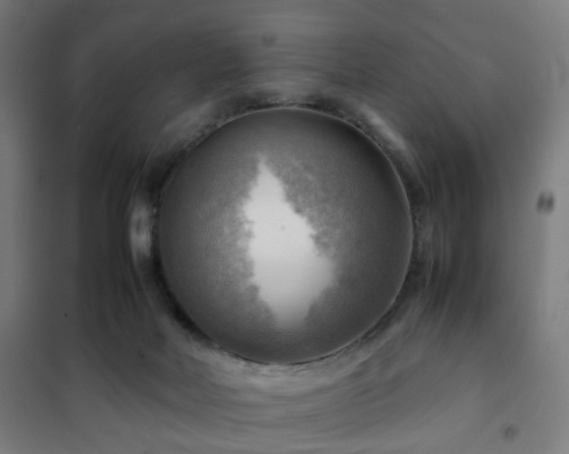 X0000102010026200807251319