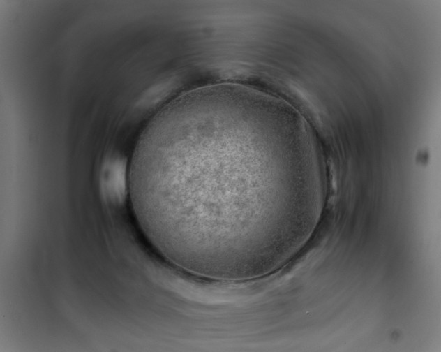 X0000102010028200807251319
