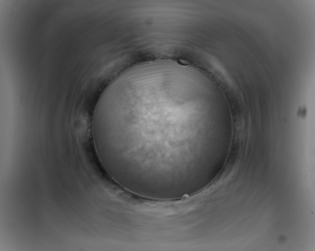 X0000102010029200807251319