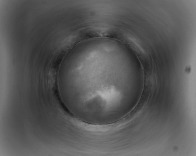 X0000102010030200807251319