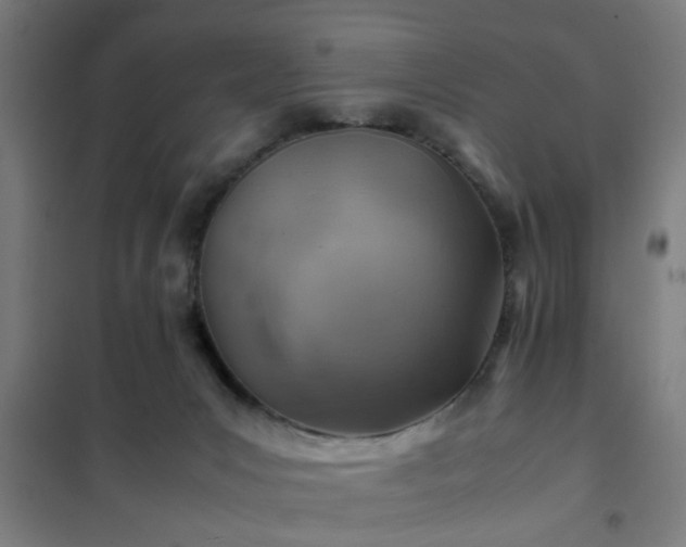 X0000102010031200807251319