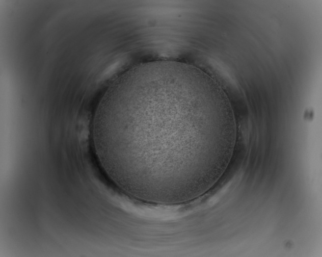 X0000102010032200807251319