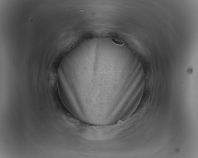X0000102010033200807251319