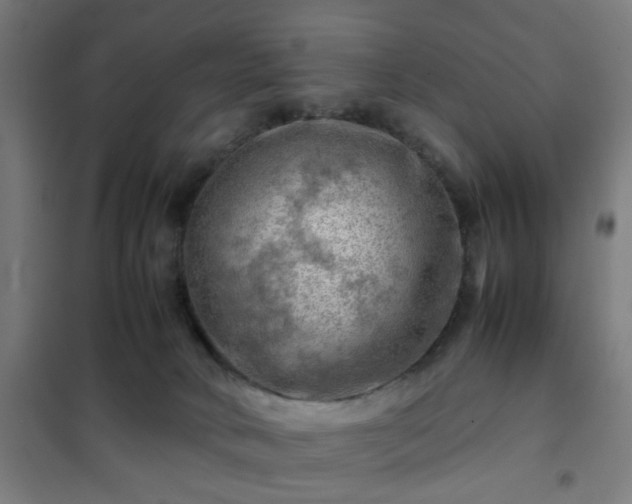 X0000102010034200807251319