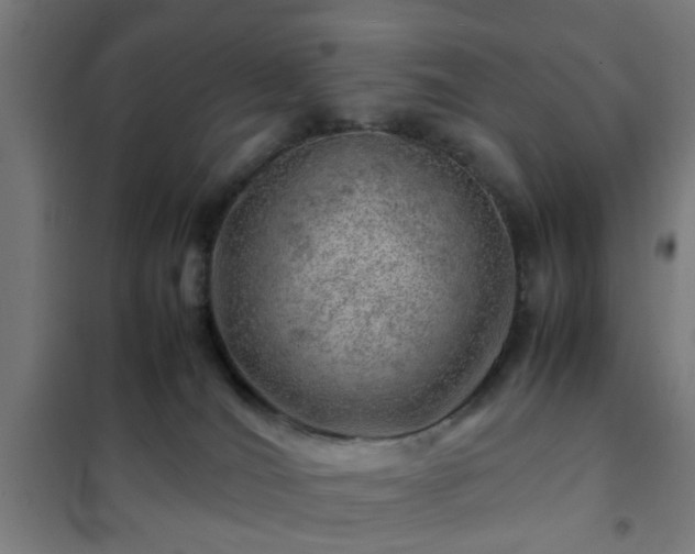 X0000102010036200807251319