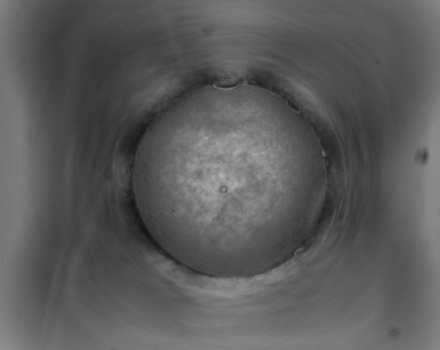 X0000102010037200807251319