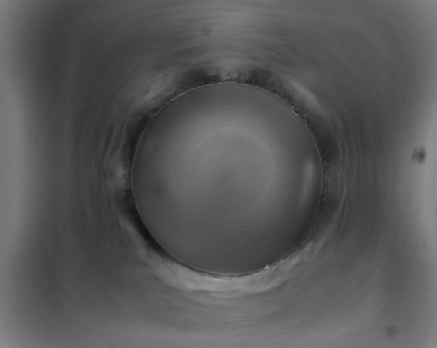 X0000102010039200807251319