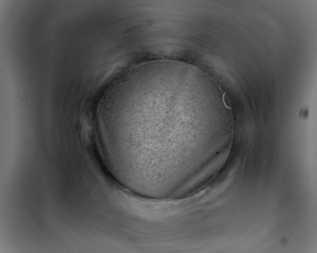 X0000102010040200807251319